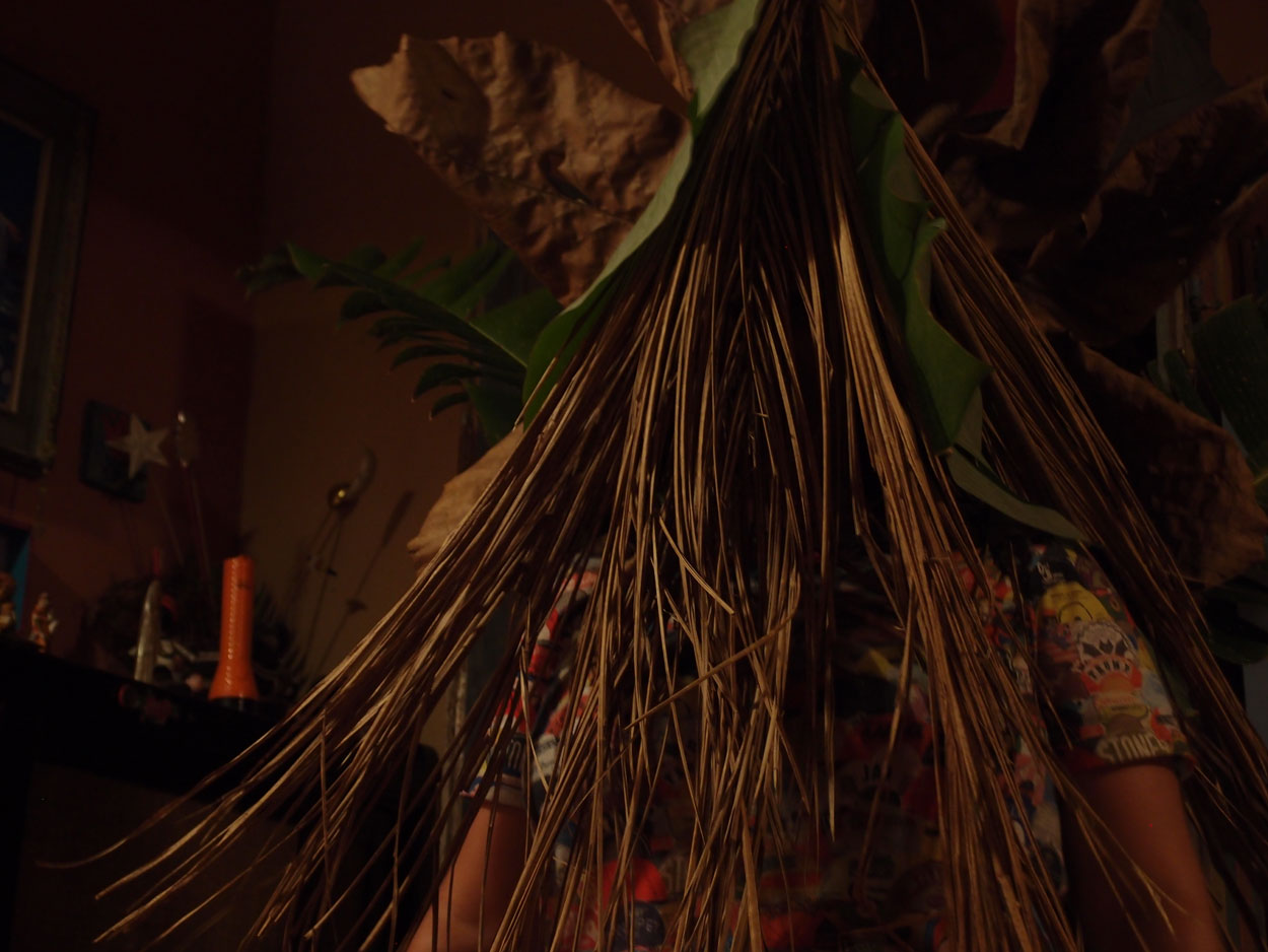 2016-02-08/09 Carneval de Galdi (Foto)